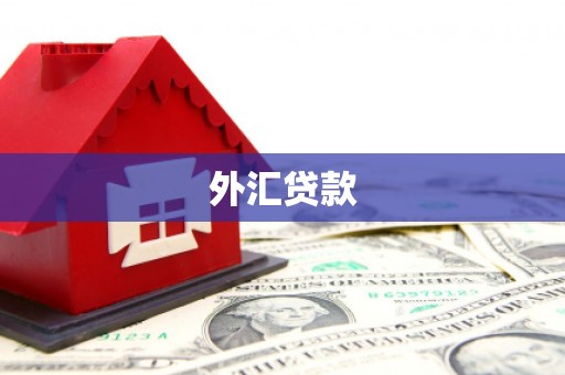 五河外汇贷款