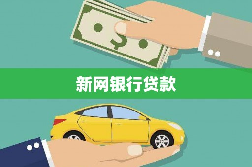 聂荣新网银行贷款