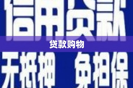 阜城贷款购物