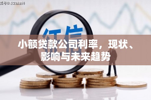 乌丘小额贷款公司利率，现状、影响与未来趋势