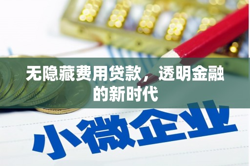 柳营无隐藏费用贷款，透明金融的新时代