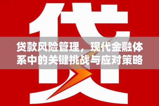 两当贷款风险管理，现代金融体系中的关键挑战与应对策略