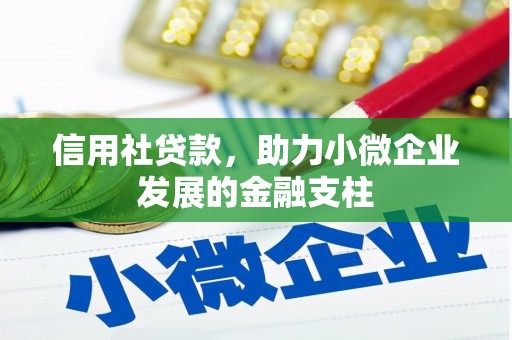 安陆信用社贷款，助力小微企业发展的金融支柱