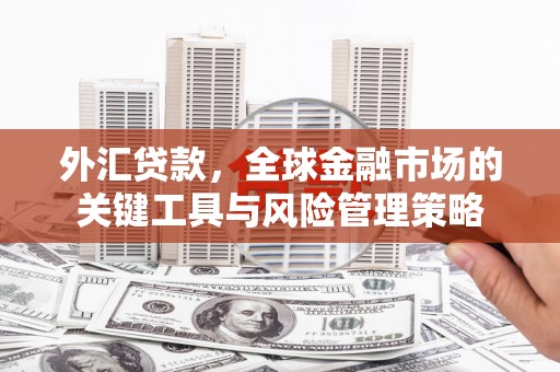 睢宁外汇贷款，全球金融市场的关键工具与风险管理策略