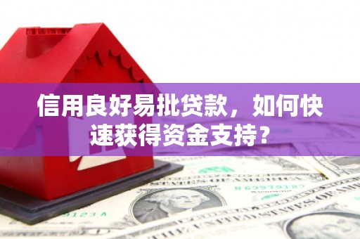 大林信用良好易批贷款，如何快速获得资金支持？