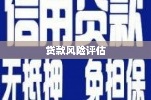 龙文贷款风险评估