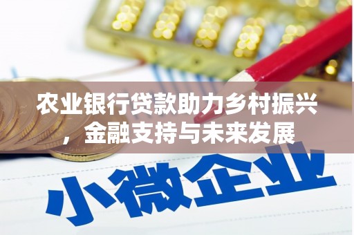 大安农业银行贷款助力乡村振兴，金融支持与未来发展