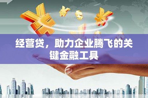 海兴经营贷，助力企业腾飞的关键金融工具