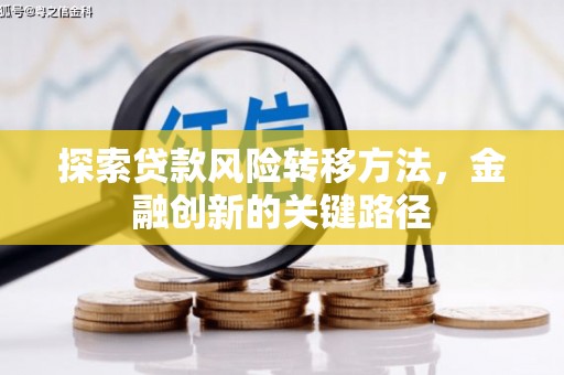 贡寮探索贷款风险转移方法，金融创新的关键路径