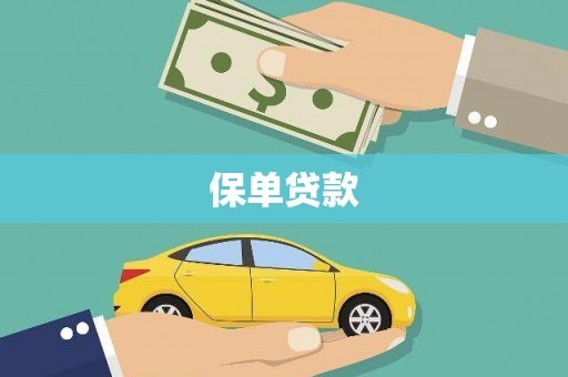 洪雅保单贷款