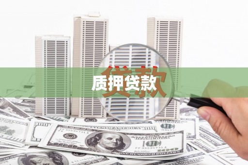 囊谦质押贷款