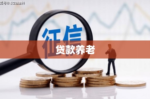 茂林贷款养老