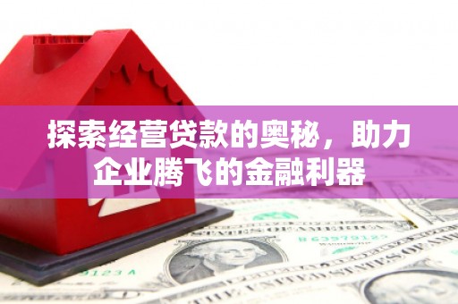长岛探索经营贷款的奥秘，助力企业腾飞的金融利器