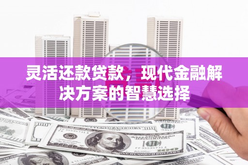 维西灵活还款贷款，现代金融解决方案的智慧选择