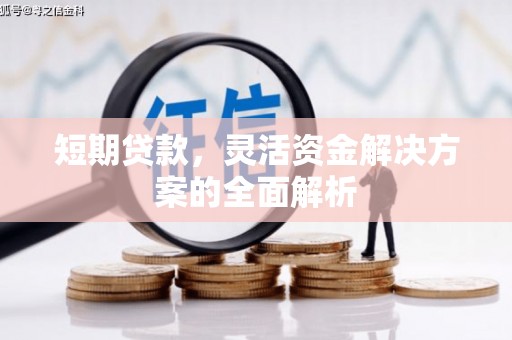 龙江短期贷款，灵活资金解决方案的全面解析