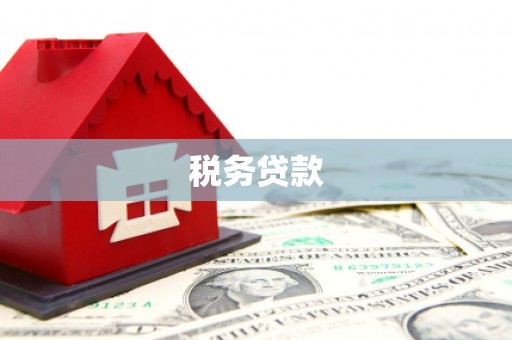 平陆税务贷款