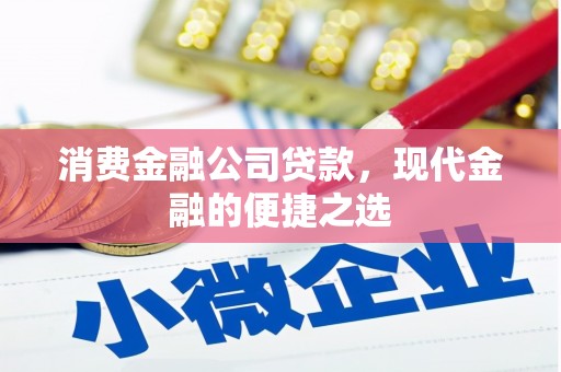 官田消费金融公司贷款，现代金融的便捷之选