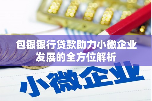 吐鲁番包银银行贷款助力小微企业发展的全方位解析