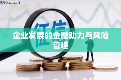 赵县企业发展的金融助力与风险管理