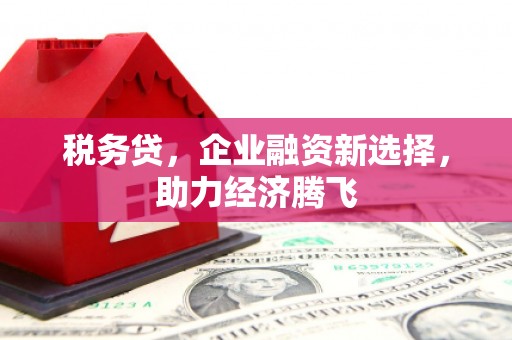 海陵税务贷，企业融资新选择，助力经济腾飞