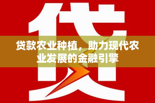 美溪贷款农业种植，助力现代农业发展的金融引擎