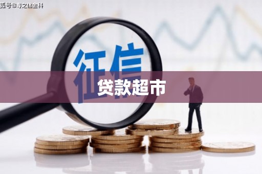 莎车贷款超市