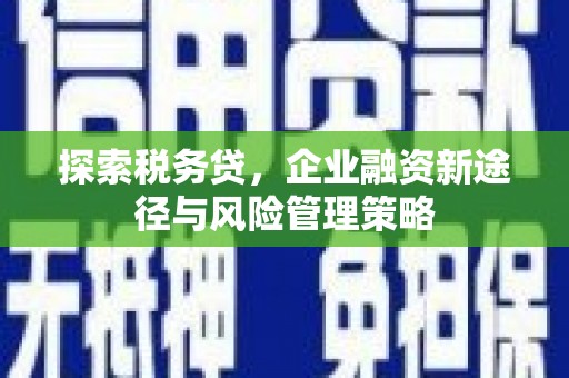 卧龙探索税务贷，企业融资新途径与风险管理策略