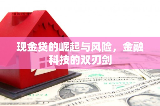 墨竹工卡现金贷的崛起与风险，金融科技的双刃剑