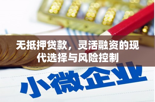 潮安无抵押贷款，灵活融资的现代选择与风险控制