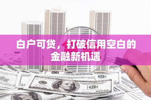 社旗白户可贷，打破信用空白的金融新机遇