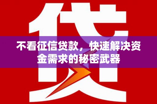安图不看征信贷款，快速解决资金需求的秘密武器