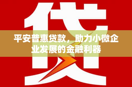 秦汉平安普惠贷款，助力小微企业发展的金融利器