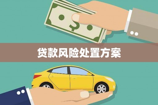 安远贷款风险处置方案