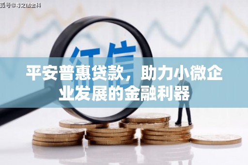 会理平安普惠贷款，助力小微企业发展的金融利器