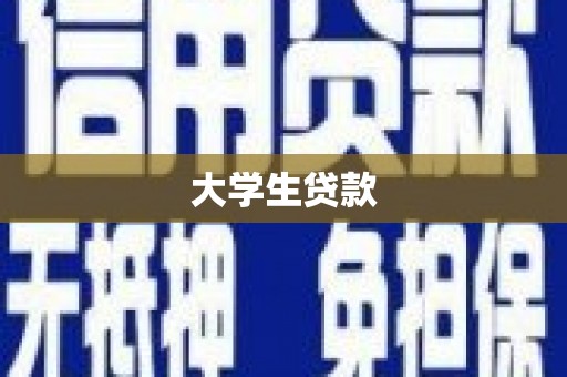 茂林大学生贷款