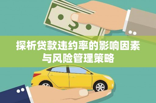 美兰探析贷款违约率的影响因素与风险管理策略