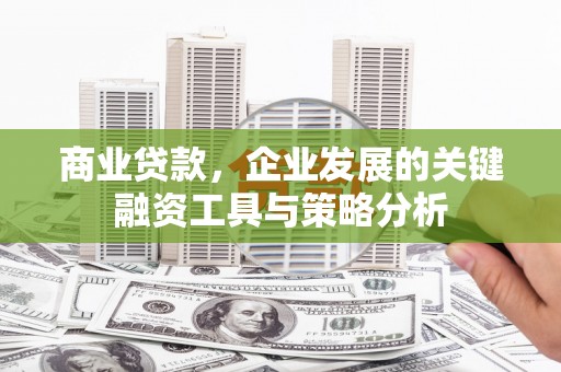 信阳商业贷款，企业发展的关键融资工具与策略分析