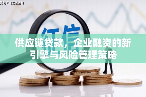 南康供应链贷款，企业融资的新引擎与风险管理策略