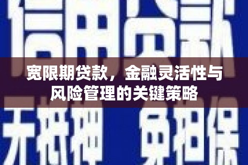 公馆宽限期贷款，金融灵活性与风险管理的关键策略