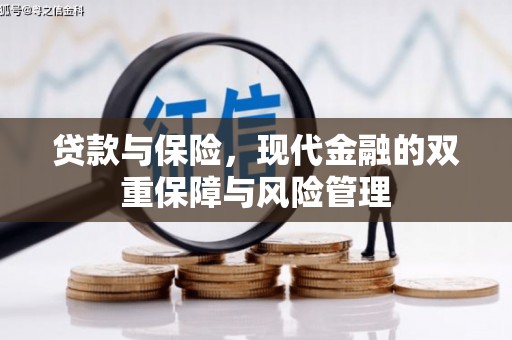 紫金贷款与保险，现代金融的双重保障与风险管理