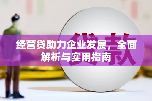 海北经营贷助力企业发展，全面解析与实用指南