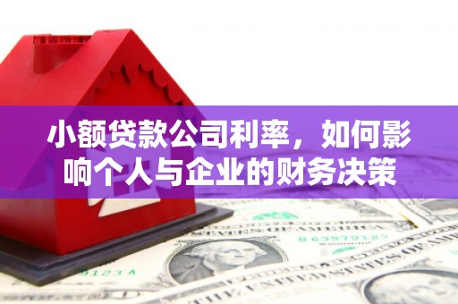 乡城小额贷款公司利率，如何影响个人与企业的财务决策