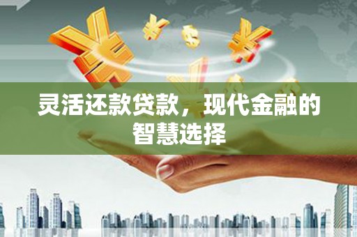 三水灵活还款贷款，现代金融的智慧选择
