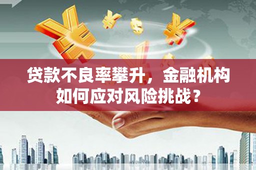 台西贷款不良率攀升，金融机构如何应对风险挑战？