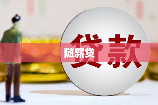武安随薪贷