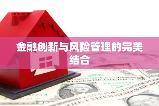 茂林金融创新与风险管理的完美结合