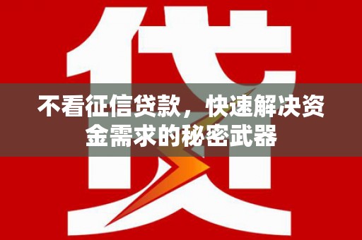 神湾不看征信贷款，快速解决资金需求的秘密武器