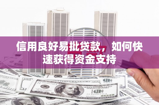 泰来信用良好易批贷款，如何快速获得资金支持