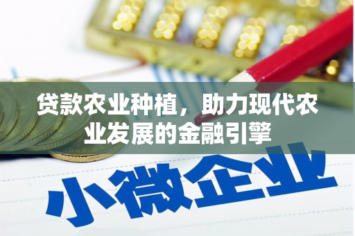 吴忠贷款农业种植，助力现代农业发展的金融引擎