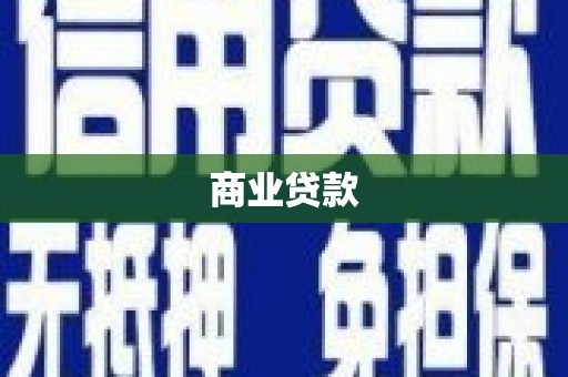 隆安商业贷款
